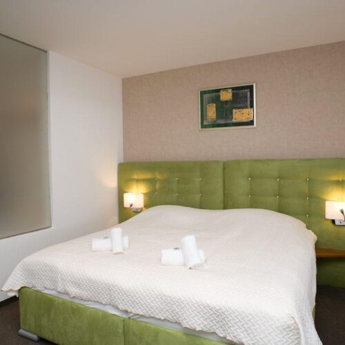 Deluxe Apartman se sprchou pro 2 os. (s možností přistýlky)