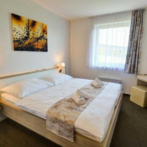 Pokoj se sprchou  pro 2 os.