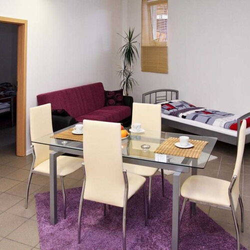 Apartman se sprchou s vlastní kuchyňkou pro 5 os. (s možností přistýlky)