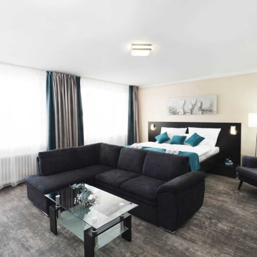 Camera tripla business cu duș