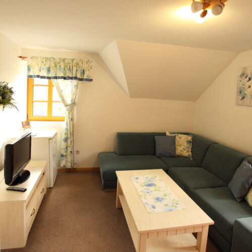 Apartmán so sprchou  pre 3 os. (s možnosťou prístelky)