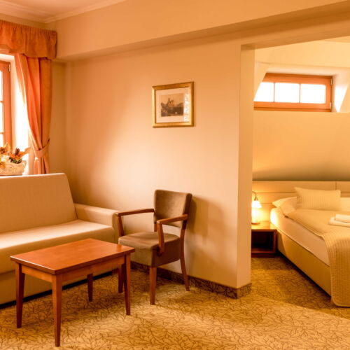 Double Room (extra bed available)