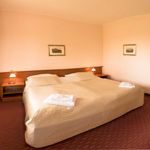 1-Room Apartment for 2 Persons (extra beds available)