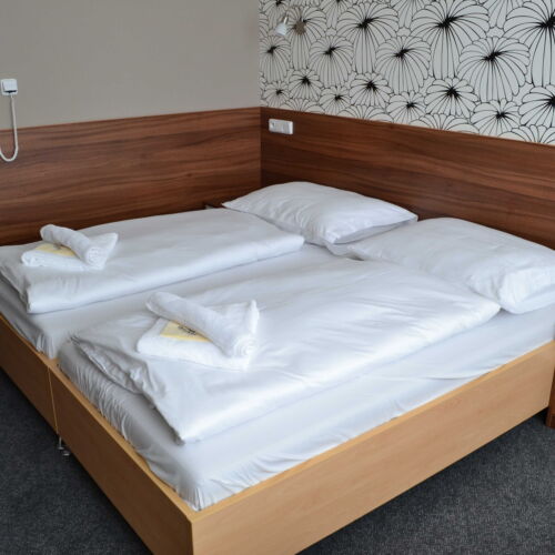 Pokoj se sprchou  pro 2 os.