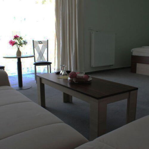 Pokoj se sprchou  pro 2 os. (s možností přistýlky)