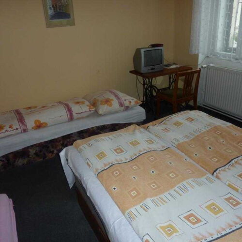 Camera tripla economy cu duș