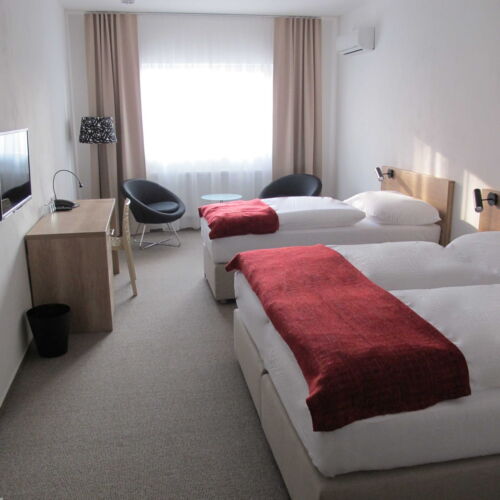 Family Pokoj se sprchou pro 3 os.