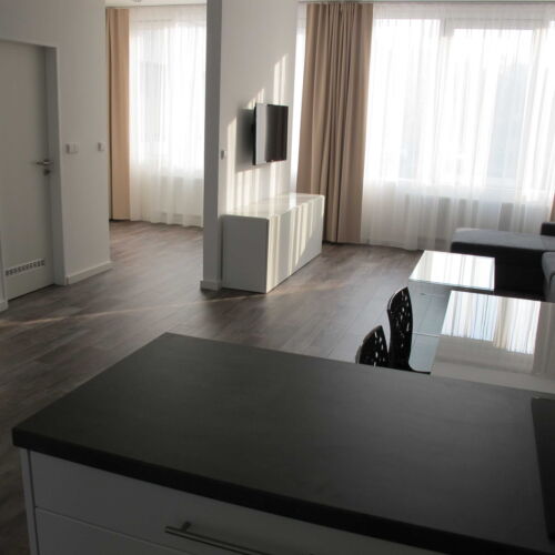 Apartman se sprchou s vlastní kuchyňkou pro 4 os. (s možností přistýlky)