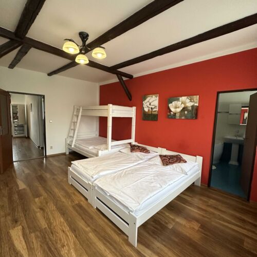 Apartman s vlastní kuchyňkou pro 4 os. s 1 ložnicí v podkroví