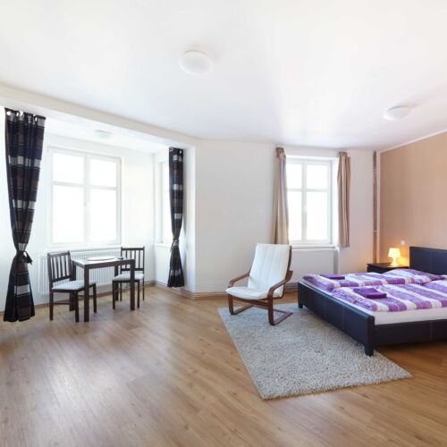 Apartament 2-osobowy Studio z prysznicem z 1 pomieszczeniem sypialnianym (możliwa dostawka)