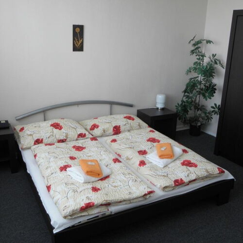 Deluxe Apartman se sprchou s manželskou postelí s 1 ložnicí