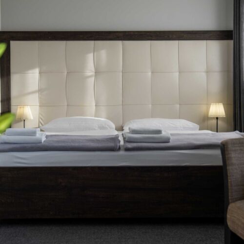 Camera twin superior cu duș (se poate solicita pat suplimentar)