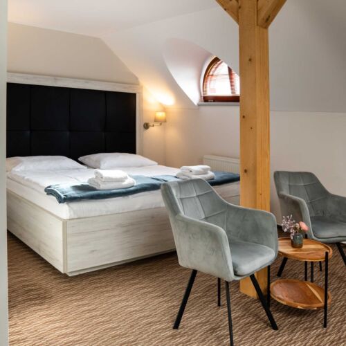 Camera twin superior cu duș