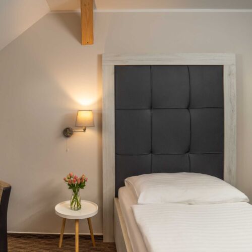 Camera single deluxe cu duș