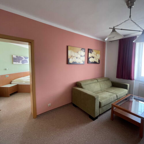 Apartment for 2 Persons (extra beds available)