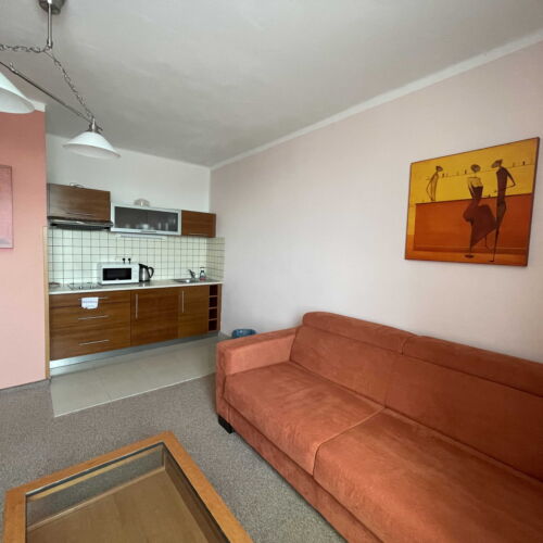 Twin Room with Kitchenette (extra beds available)