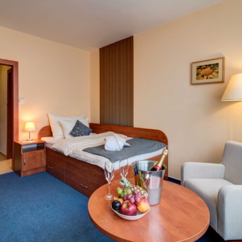 Premier  Pokoj pro 1 os.