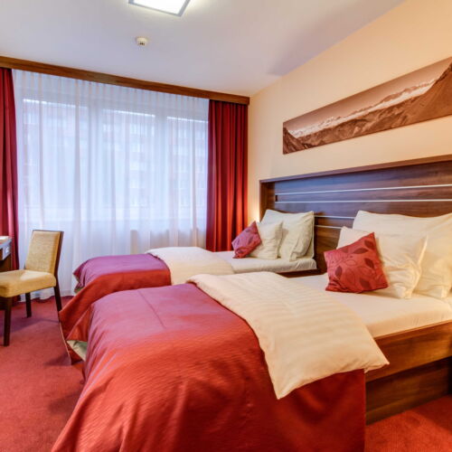 Business Pokoj se sprchou pro 2 os.