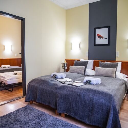 Camera dubla family comunicantă (se poate solicita pat suplimentar)