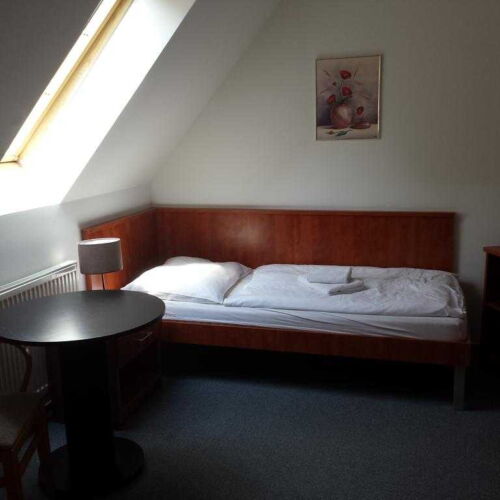 Pokój 1-osobowy z prysznicem z widokiem na góry