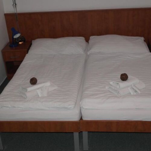 Pokój 2-osobowy z prysznicem z widokiem na ogród