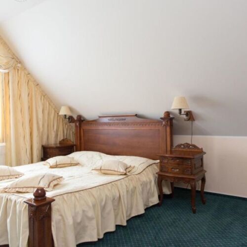 Apartament 2-osobowy Deluxe z widokiem na ogród z 1 pomieszczeniem sypialnianym (możliwa dostawka)