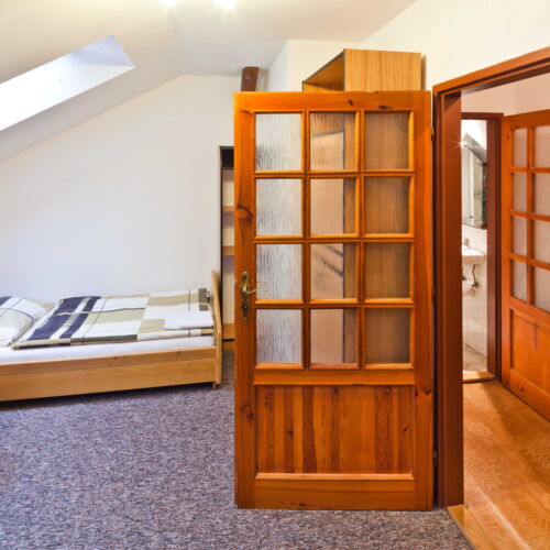 Pokoj se sprchou  pro 1 os. (s možností přistýlky)