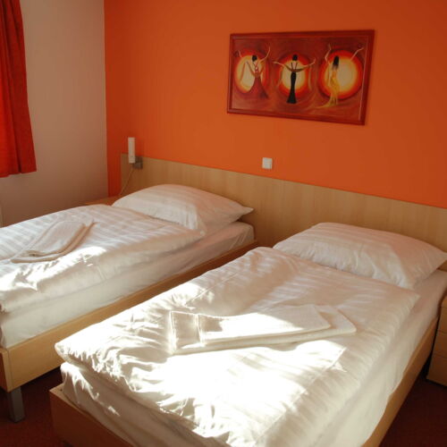 Standard Twin Room with Shower