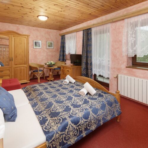 Pokój 2-osobowy z prysznicem z balkonem (możliwa dostawka)