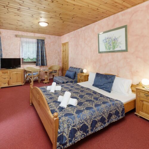 Pokój 2-osobowy z prysznicem z balkonem