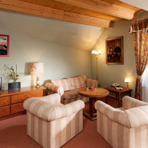 Apartament cu duș suită cu 1 camera pentru 2 pers. (se poate solicita pat suplimentar)