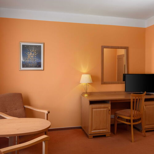 Camera dubla confort cu baie