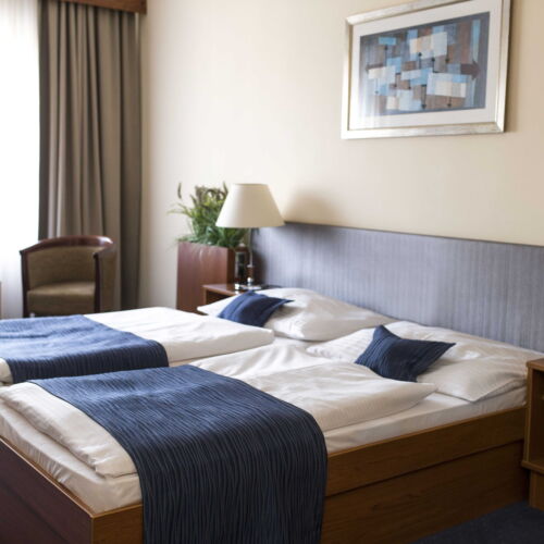 Air Conditioned Single Room