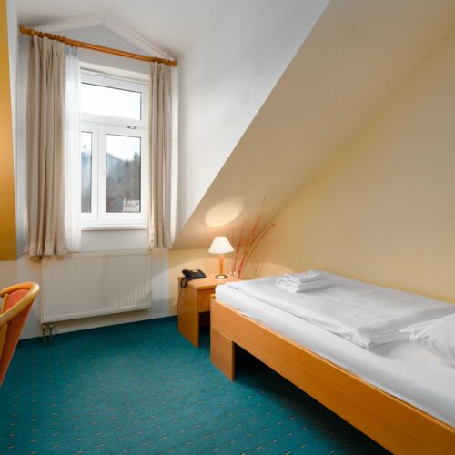 Standard Pokoj se sprchou pro 1 os.