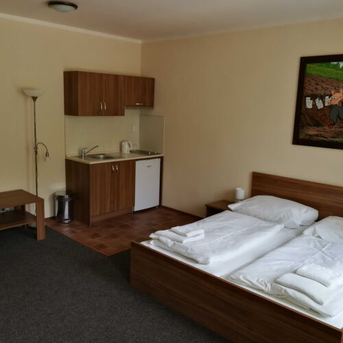 Apartman se sprchou s vlastní kuchyňkou pro 3 os. (s možností přistýlky)