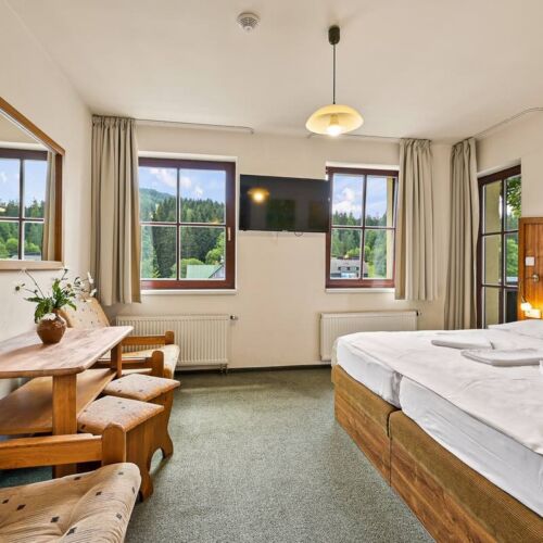 Standard Double Room (extra beds available)