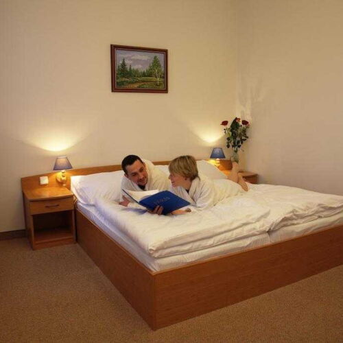 Pokoj se sprchou  pro 2 os.