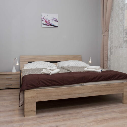 Pokoj se sprchou s vlastní kuchyňkou s manželskou postelí (s možností přistýlky)