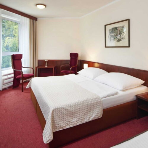 Camera dubla economy cu duș