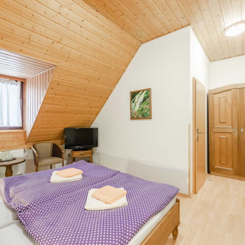 Standard Twin Room with Shower