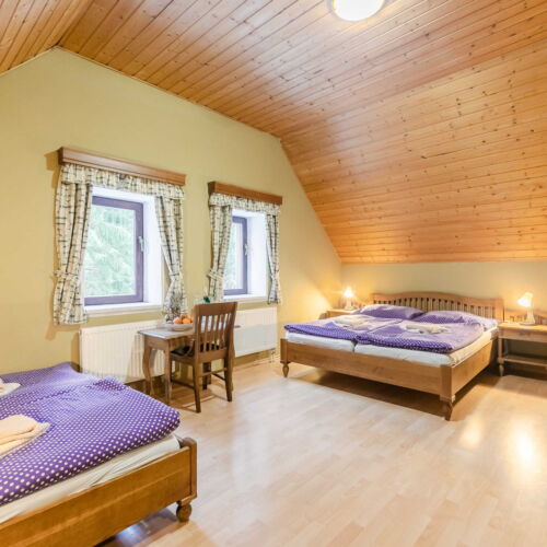 Twin Room with Shower (extra beds available)