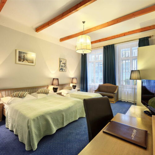 Pokoj se sprchou  pro 2 os. (s možností přistýlky)