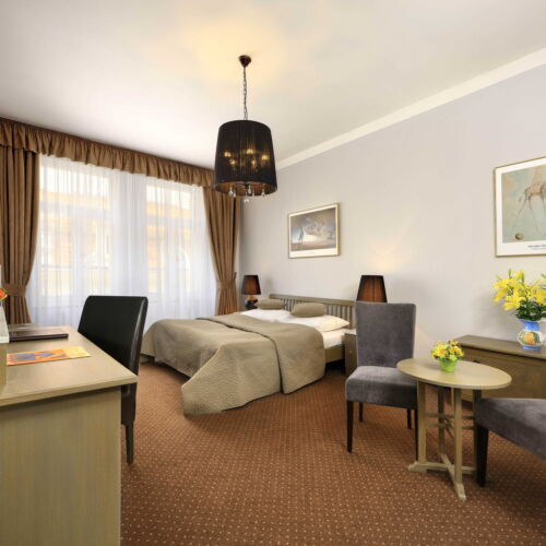 Superior Pokoj se sprchou pro 2 os.