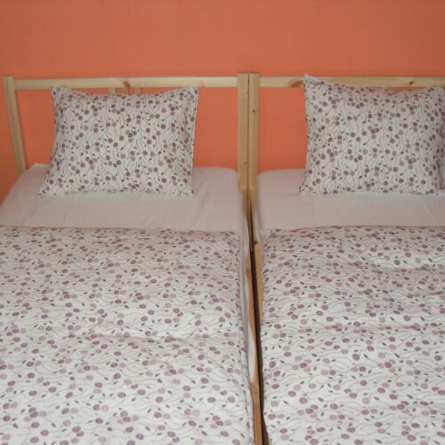 Pokoj pro 3 os. (s možností přistýlky)