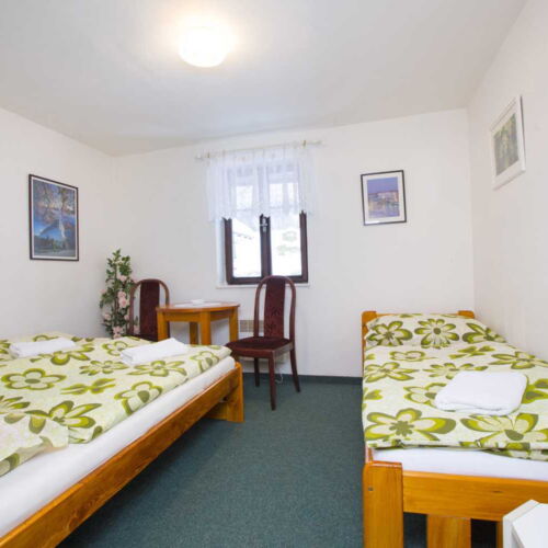 Apartament cu duș cu balcon pentru 4 pers. (se poate solicita pat suplimentar)