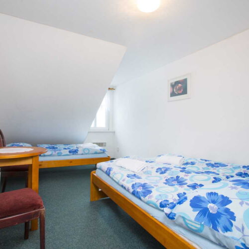 Camera tripla cu duș