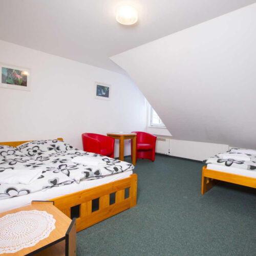 Camera cvadrupla cu duș (se poate solicita pat suplimentar)