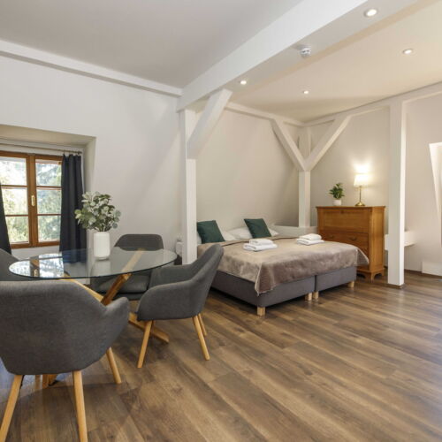 Standard Plus 2-Room Family Apartment for 4 Persons