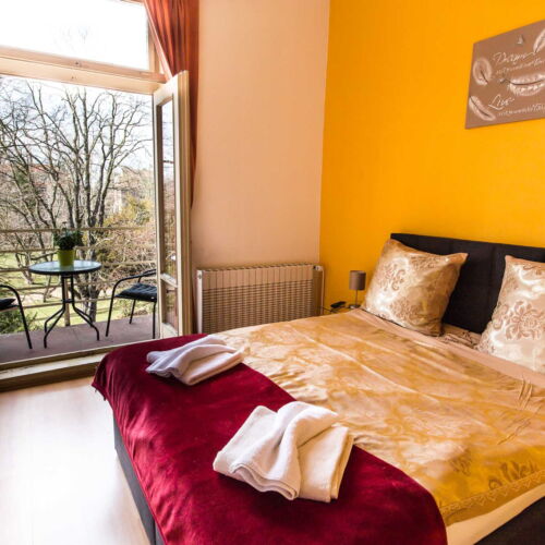 Standard Pokoj s manželskou postelí s výhledem na park