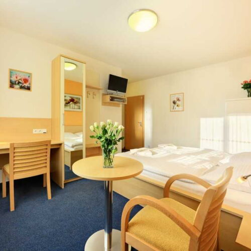 Standard Pokoj se sprchou s manželskou postelí